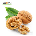 Agolyn Walnut Marque Shell Noyer en noix